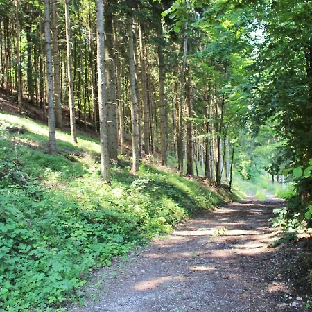 شقة In Koettmannsdorf Near Bathing *