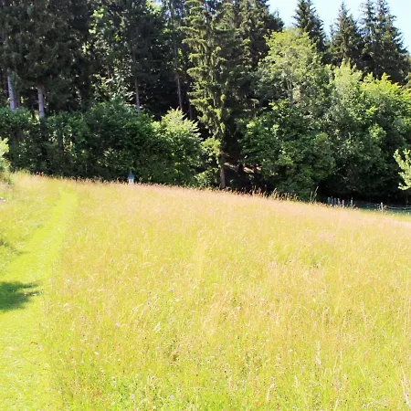 In Koettmannsdorf Near Bathing شقة *