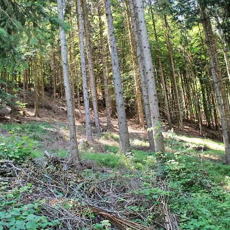 In Koettmannsdorf Near Bathing شقة Wurdach