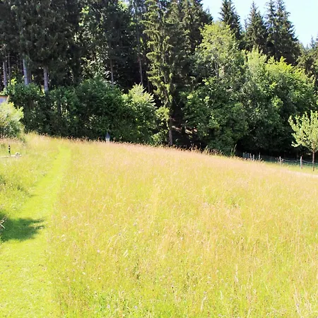 Apartament In Koettmansdorf Near Keutschacher *