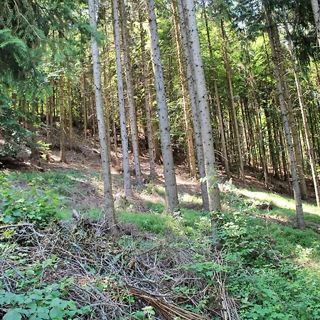 In Koettmansdorf Near Keutschacher *