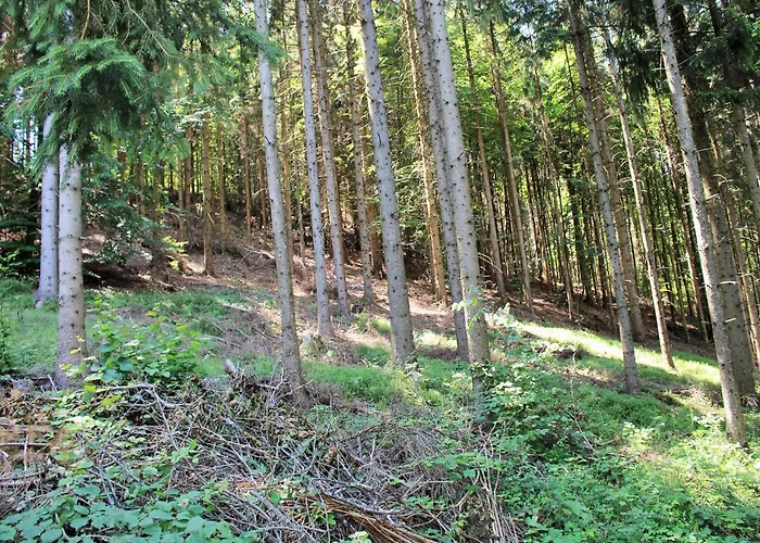 In Koettmansdorf Near Keutschacher *